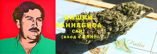 не бодяженный Дмитриев