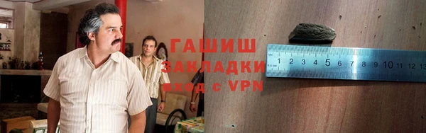 прущие грибы Дмитровск
