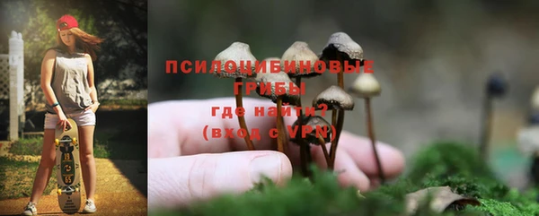прущие грибы Дмитровск