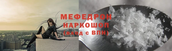 прущие грибы Дмитровск