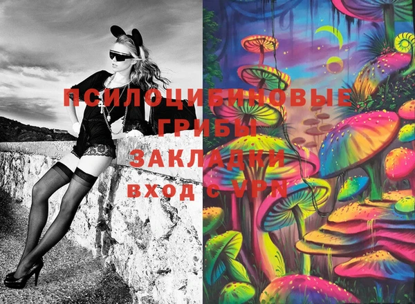 прущие грибы Дмитровск