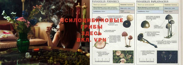 mdpv Бугульма