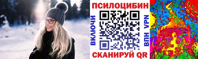 закладка  Семёнов  Псилоцибиновые грибы MAGIC MUSHROOMS 